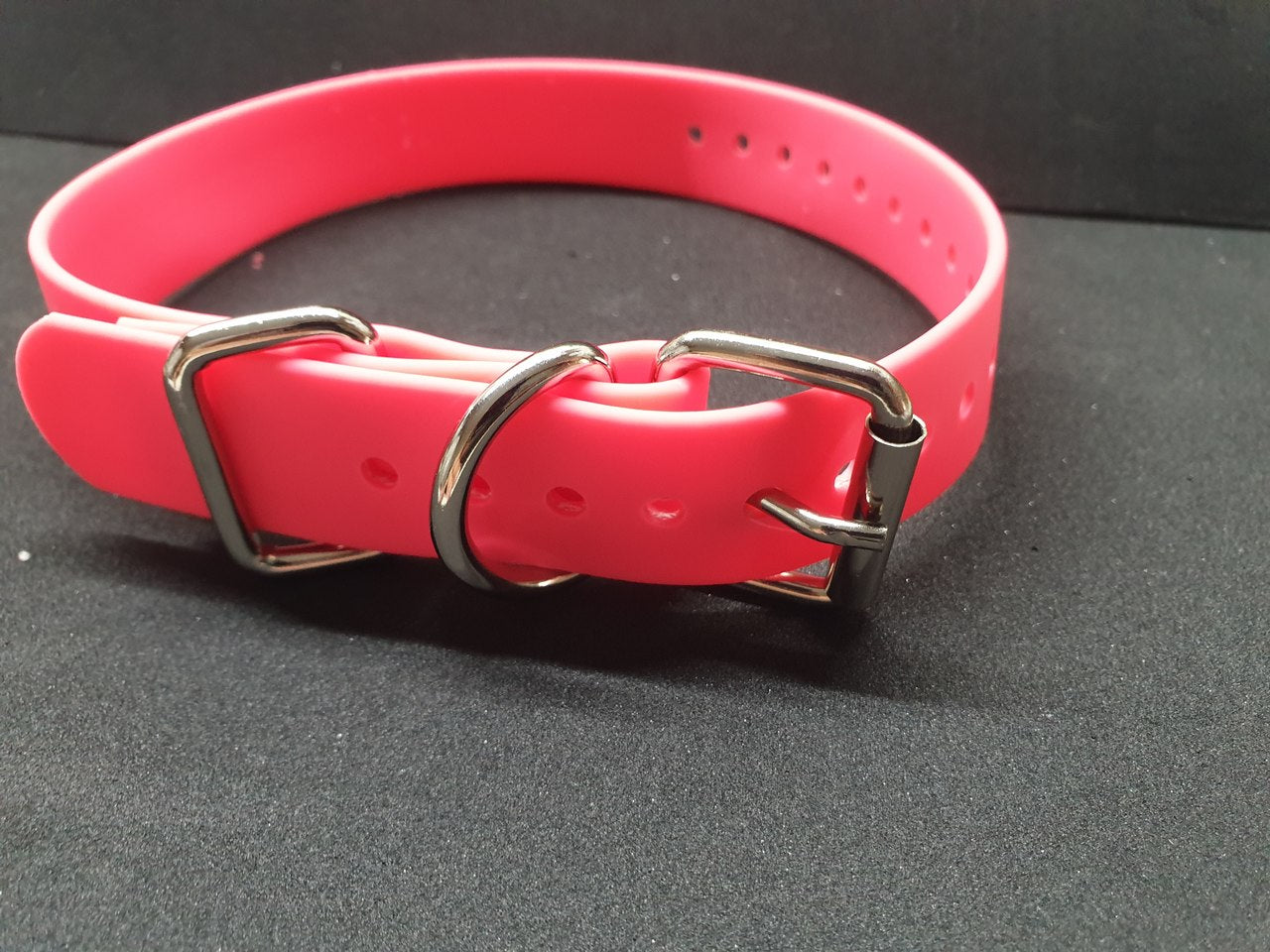 PVC Greyhound Rearing Collars