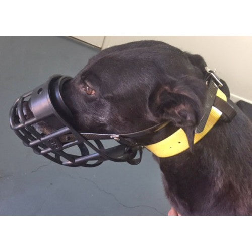 Aussie Style Yard Muzzle