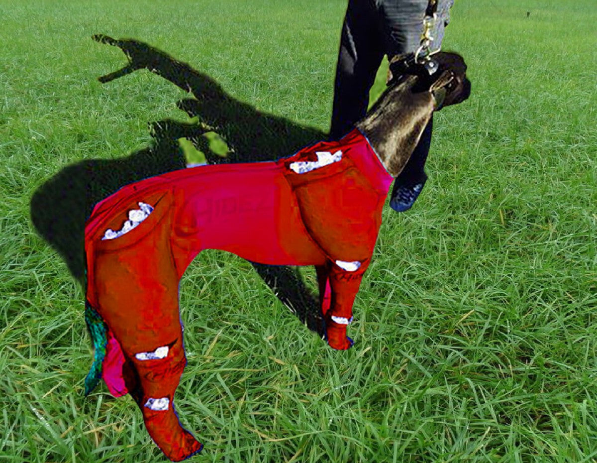 GREYHOUND ICE COMPRESSION SUIT RED-1200x930